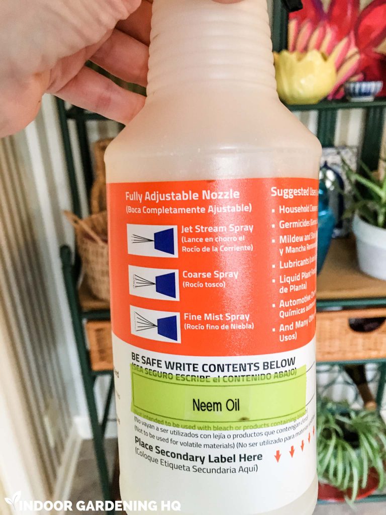 Neem Oil Mixture in Spray Bottle